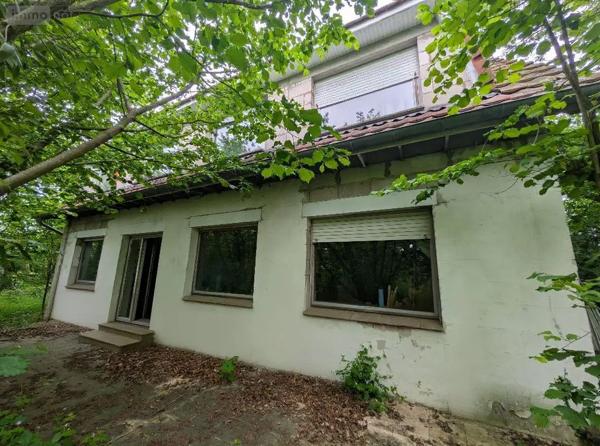 Achat - Maison | Pavillon Esquelbecq 59470 7 pièces 136 m 2 2197 m 2