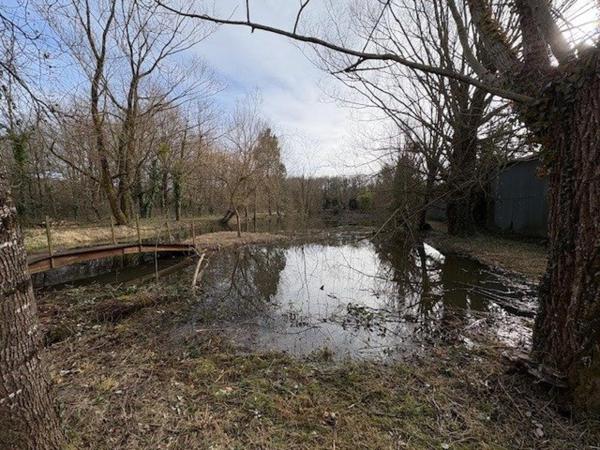 Plan d'eau 4182m² Buzançais