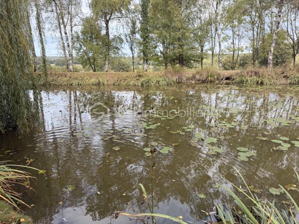 A la recherche d'un terrain de loisirs pour passer d'agréables moments en famille ou entre amis avec idéalement un terrain facile d'accès et une pièce d'eau très poissonneuse qui promet de belles journées de pêche ? J'ai peut-être ce que vous recherchez....
Située à 3min de PORT-BRILLET sur la commune de La Brulatte, vous pourrez profitez pleinement de ce petit havre de paix entièrement clôturé et parfaitement entretenu avec soin.  De nombreux arbres fruitiers ont été plantés et vous promettent de belles petites récoltes. Possibilité d'y mettre des moutons ou autres si vous le souhaitez.
Si le terrain de loisirs n'est pas aujourd'hui raccordé à l'électricité, vous aurez la possibilité si vous le souhaitez d'installer des panneaux solaires pour votre autoconsommation, le terrain est raccordé à l'eau potable. 
Et pour y passer de longs moments de détente, des toilettes sèches ont été installés. 
Alors conquis par ce terrain de loisirs ? Ne tardez pas, appelez-moi !