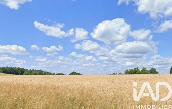 Terrain à vendre 50 201 m² Neuvic-Entier