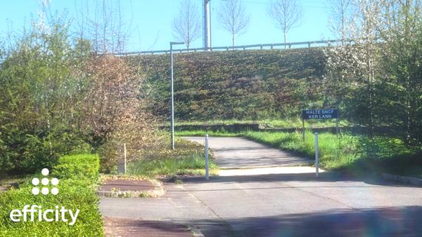 Appartement 1 pièce - 21 m² Exclusivité efficity