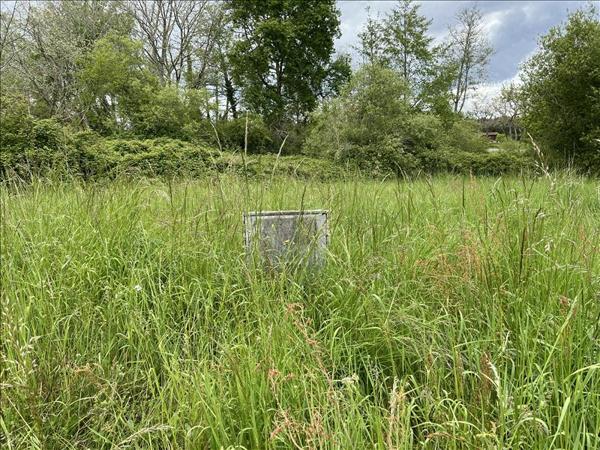 Terrain à vendre |  Losse |  998 m²