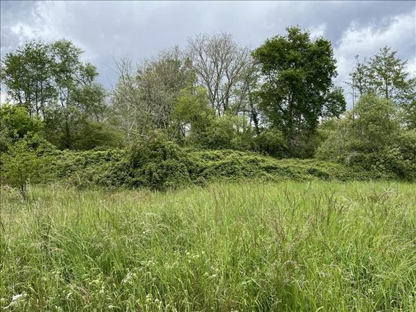 Terrain à vendre |  Losse |  998 m²