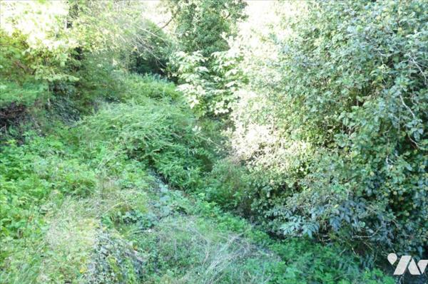 Deux habitations à vendre à Ambrières les vallées(53)