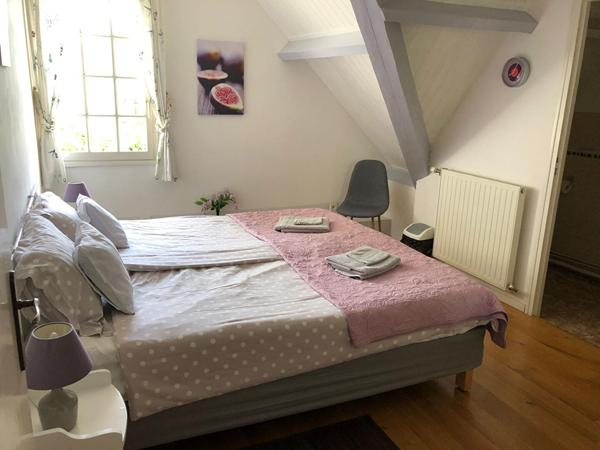 Grande maison Prayssac, 7 chambres, piscine