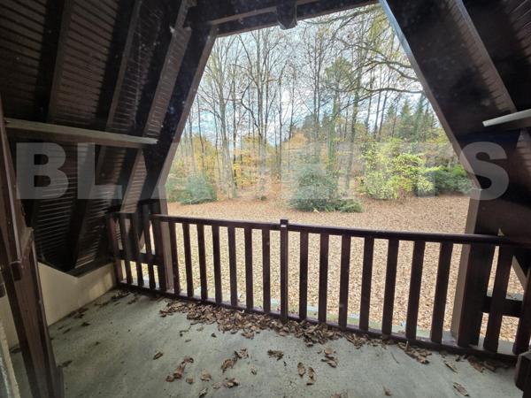 🌲 OFFREZ-VOUS UN HAVRE DE PAIX À LA BAZOGE 🌲