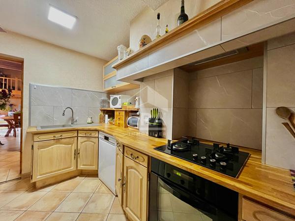 Immeuble de caractère Lisle-sur-Tarn 9 pièces 320m².