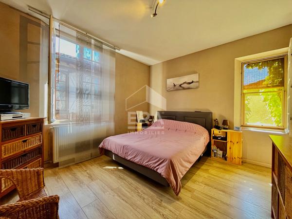 Immeuble de caractère Lisle-sur-Tarn 9 pièces 320m².