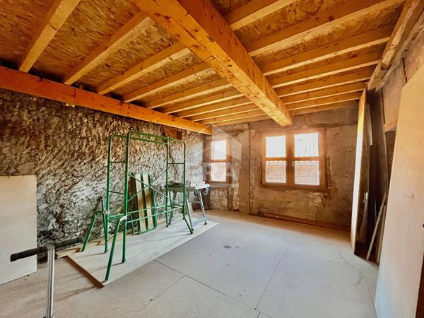 Immeuble de caractère Lisle-sur-Tarn 9 pièces 320m².