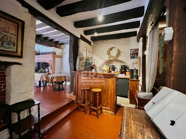 Immeuble de caractère Lisle-sur-Tarn 9 pièces 320m².