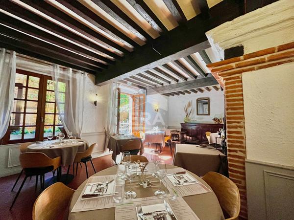 Immeuble de caractère Lisle-sur-Tarn 9 pièces 320m².