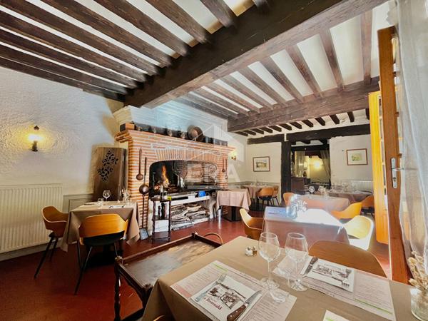 Immeuble de caractère Lisle-sur-Tarn 9 pièces 320m².