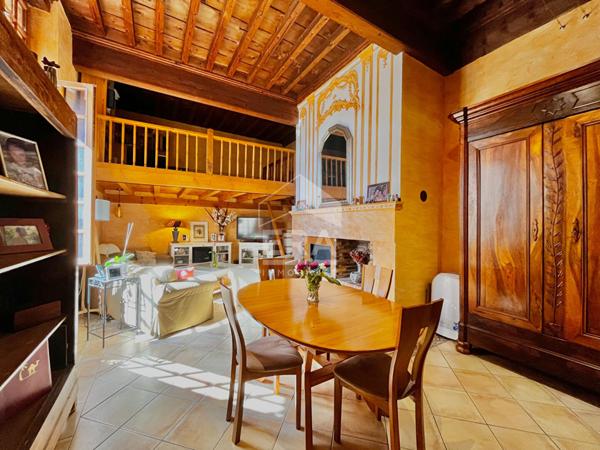 Immeuble de caractère Lisle-sur-Tarn 9 pièces 320m².