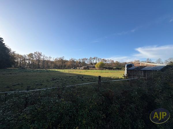 Vente terrain Audenge : 249 000 € - AJP Immobilier Audenge