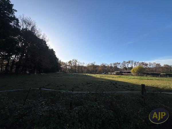 Vente terrain Audenge : 249 000 € - AJP Immobilier Audenge