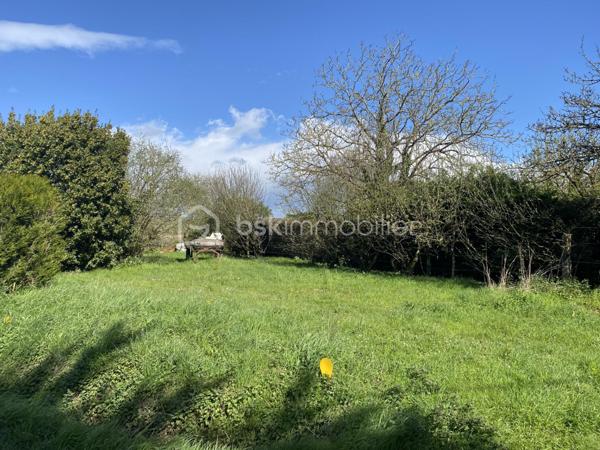 Terrain de 811 m²