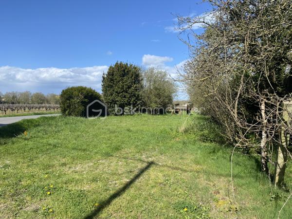 Terrain de 811 m²