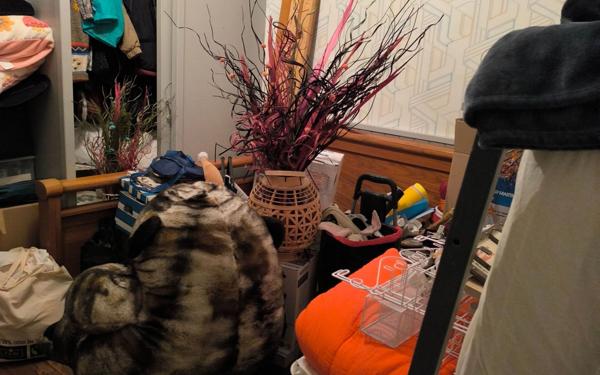 Appartement à louer    3 pièces • 80 m2 Bessines-sur-Gartempe