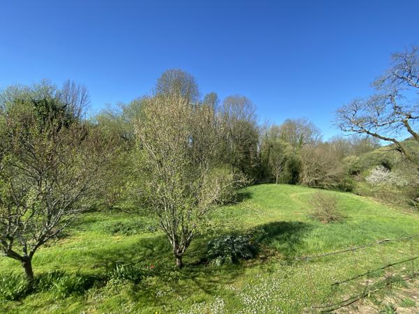 AUX PORTES D'ANGOULEME moulin inscrit ISMH et ses dépendances sur plus d'un hectare de terrain