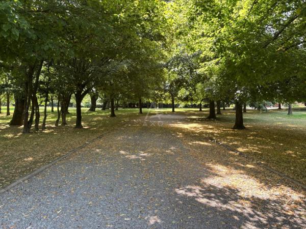 PROPRIETE de 400m² sur PARC de 1.7 ha