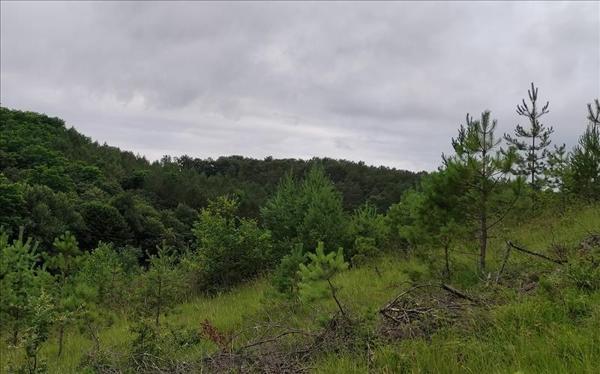 Terrain à vendre |  Trélissac |  1511 m²