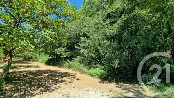 Terrain à vendre  2613 m2 CARSAC AILLAC - 24