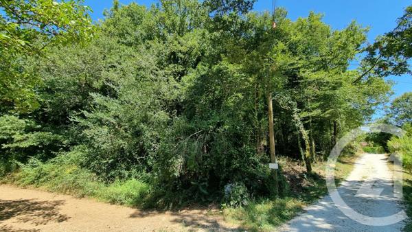 Terrain à vendre  2613 m2 CARSAC AILLAC - 24