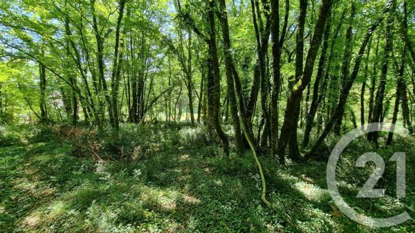 Terrain à vendre  2613 m2 CARSAC AILLAC - 24