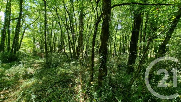 Terrain à vendre  2613 m2 CARSAC AILLAC - 24