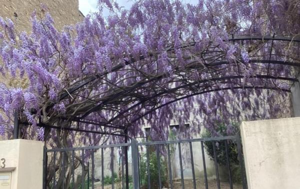 Vente Maison Garage et jardin rénové(e) Durban-corbieres   