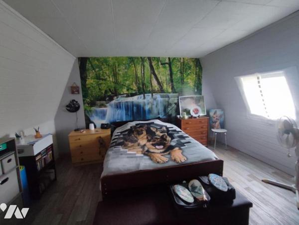 Maison semi-individuelle