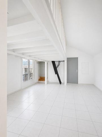 Appartement type loft de 38m² avec parking