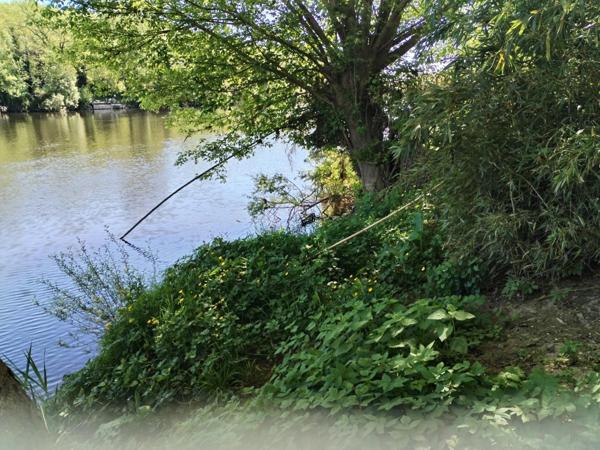 Vente terres agricole Chauvigny (86300), 1082.00m². La Bruyere Immobilier