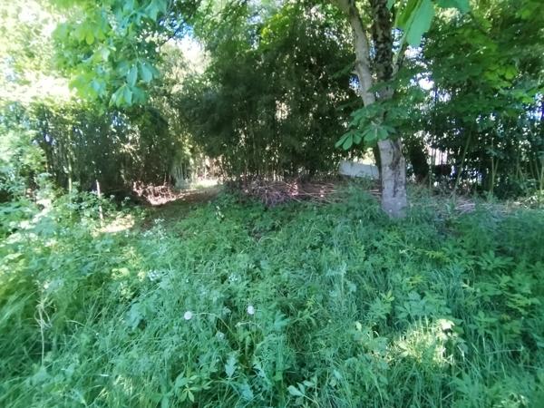 Vente terres agricole Chauvigny (86300), 1082.00m². La Bruyere Immobilier