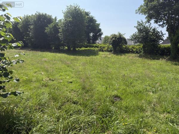 Terrain à Batir à vendre à La Trinité-Surzur dans le Morbihan (56190), ref : 56084-401