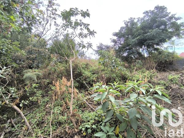 Terrain à vendre 722 m² Saint-Paul