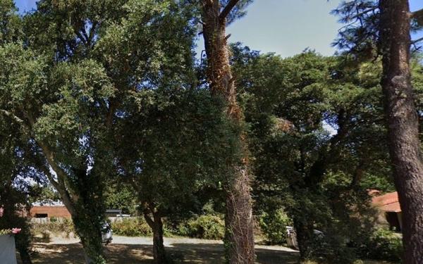 Terrain à vendre    Labenne