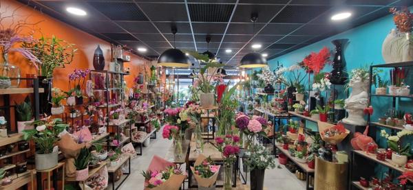 Fonds de commerce à vendre COURNON D'AUVERGNE (63)