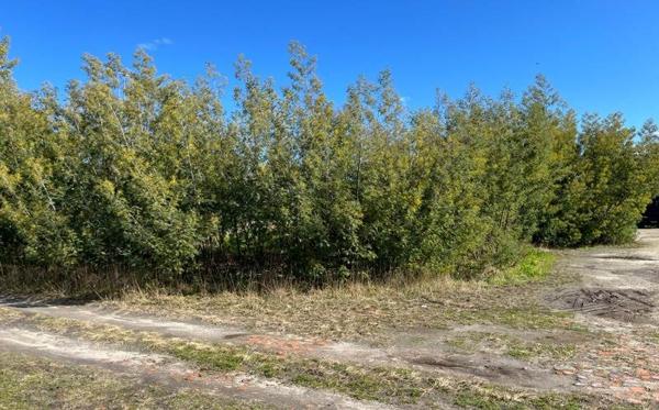 Terrain à vendre |  Ygos-Saint-Saturnin |  871 m²