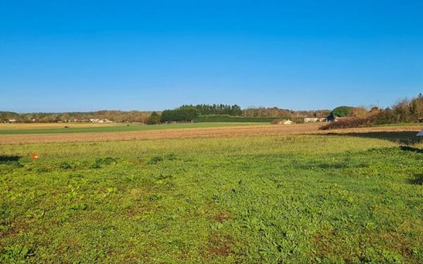 Terrain à vendre    Arvert