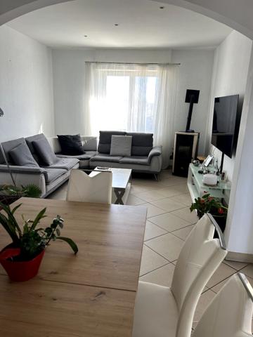 Maison Portet Sur Garonne Appartements 180 m2  terrain 1500m2