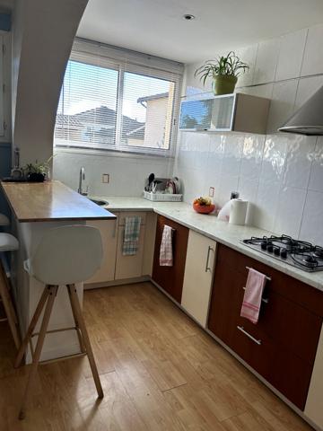 Maison Portet Sur Garonne Appartements 180 m2  terrain 1500m2