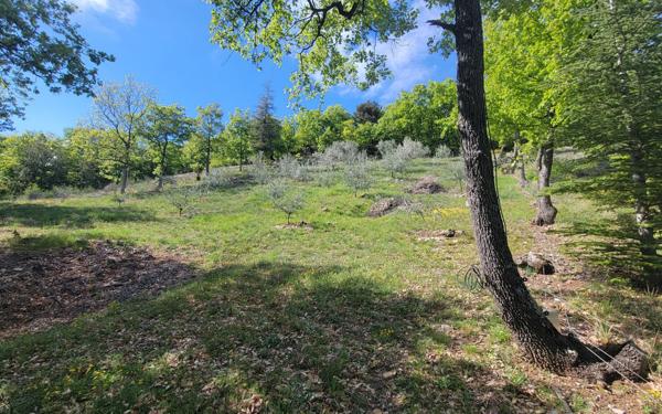 Maison à vendre    7 pièces • 166,10 m2 Laragne-Montéglin