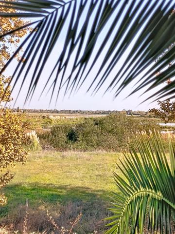 Vente appartement Parempuyre : 173 500 € - AJP Immobilier Le Bouscat