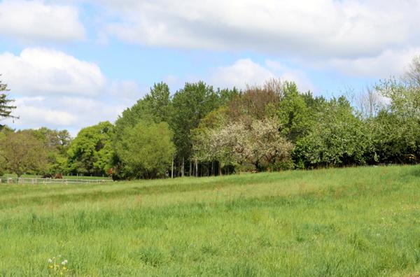 Maison à vendre 167 m² sur 2000 m² de terrain - CUISEAUX (71)