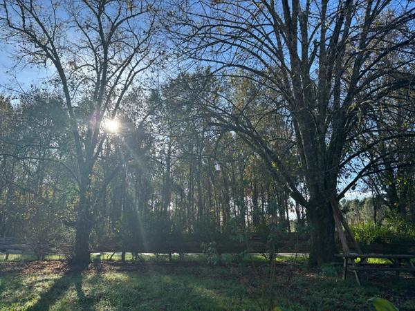 Maison Magescq 6 pièce(s) 147 m2