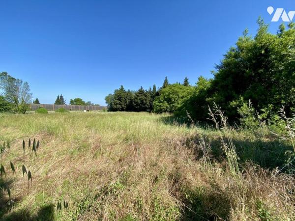 COURTHEZON, parcelle constructible en lotissement