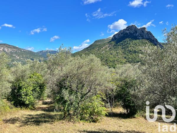 Terrain à vendre 3 583 m² Buis-les-Baronnies