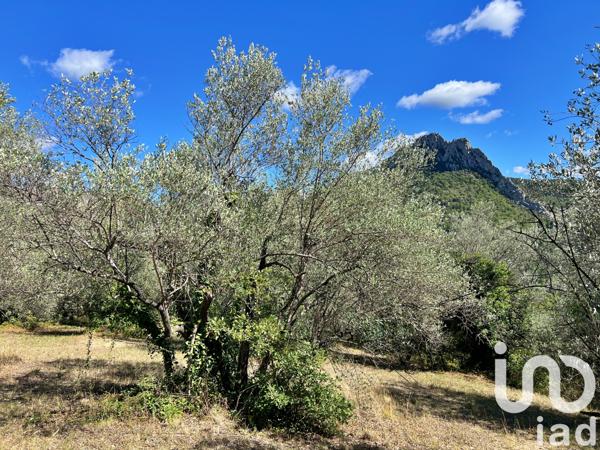 Terrain à vendre 3 583 m² Buis-les-Baronnies
