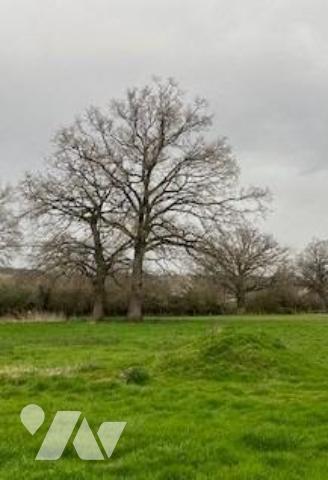 TERRAINS A BATIR 03160 BOURBON L'ARCHAMBAULT